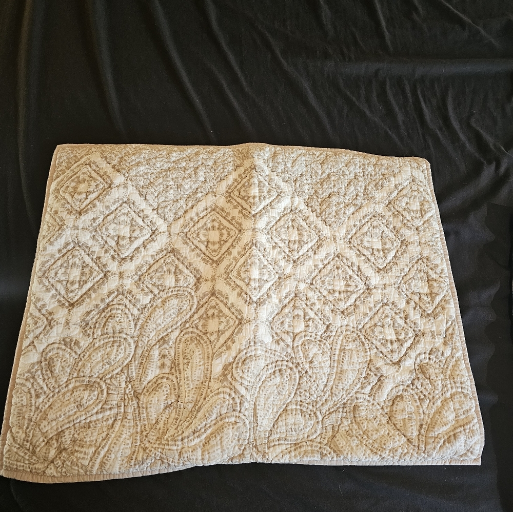 Pottery Barn Pillow Shams.  Standard Size
